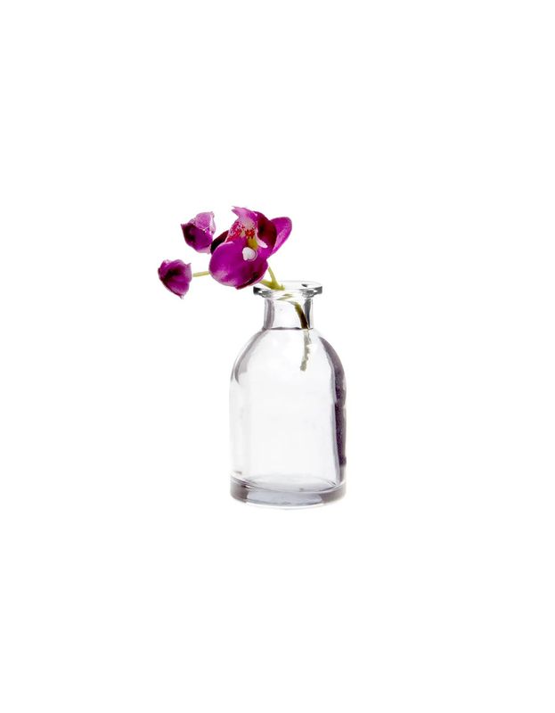Tall Glass Bottle Vase