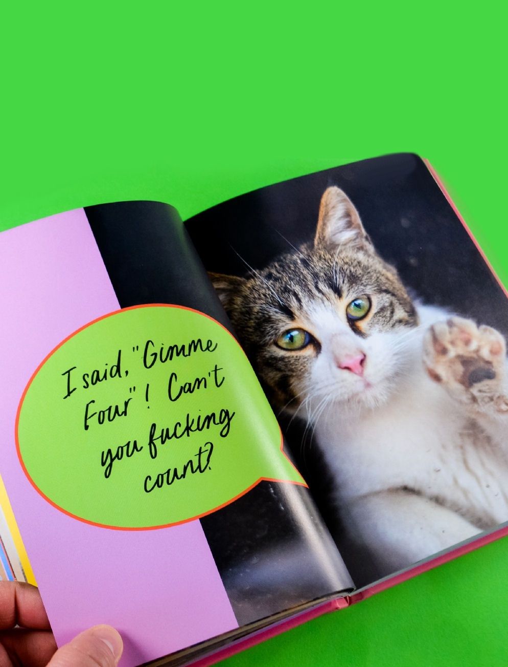 Sweary Cats Hardcover Book
