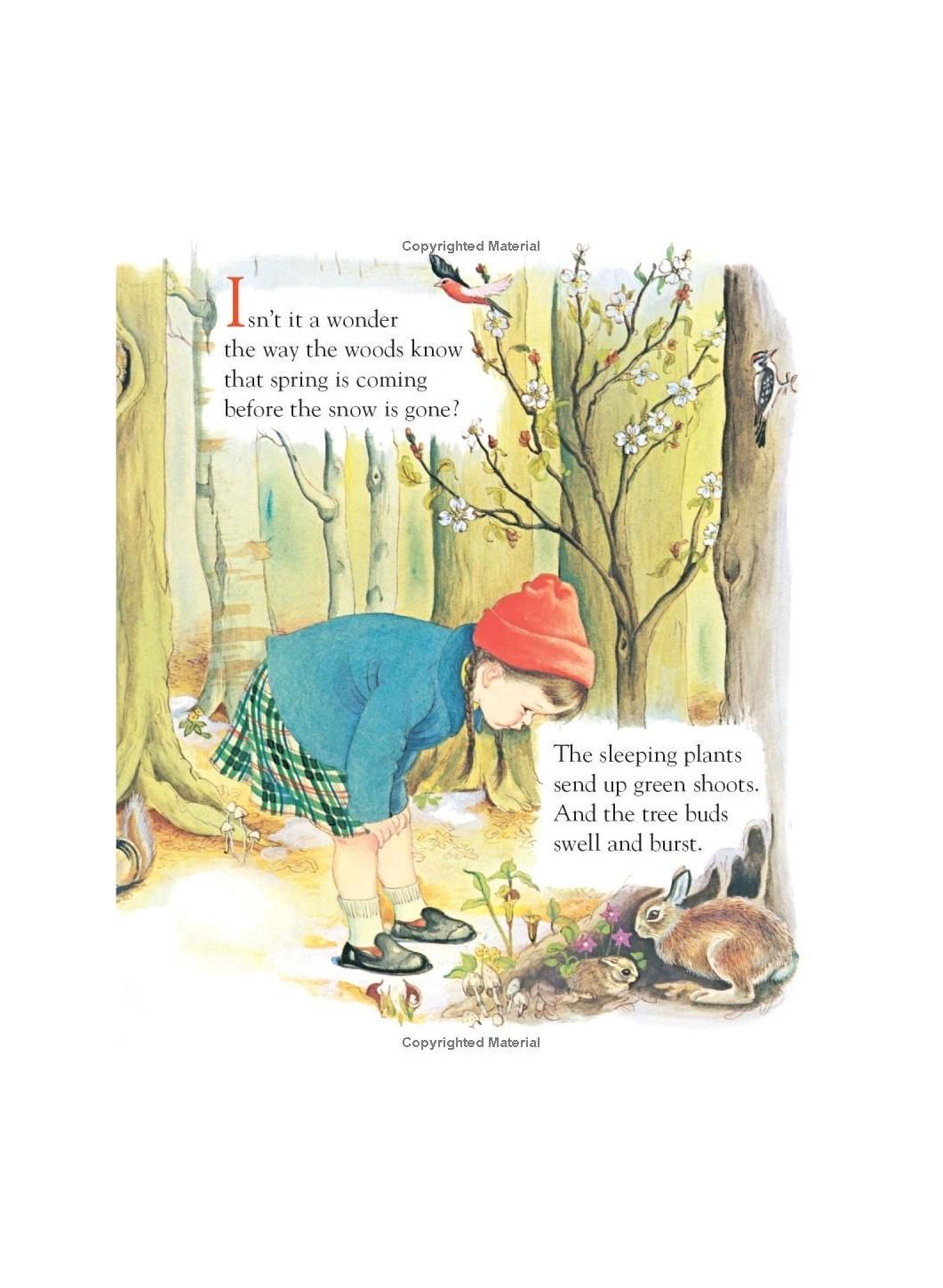 Wonders Of Nature Little Golden Book LGB