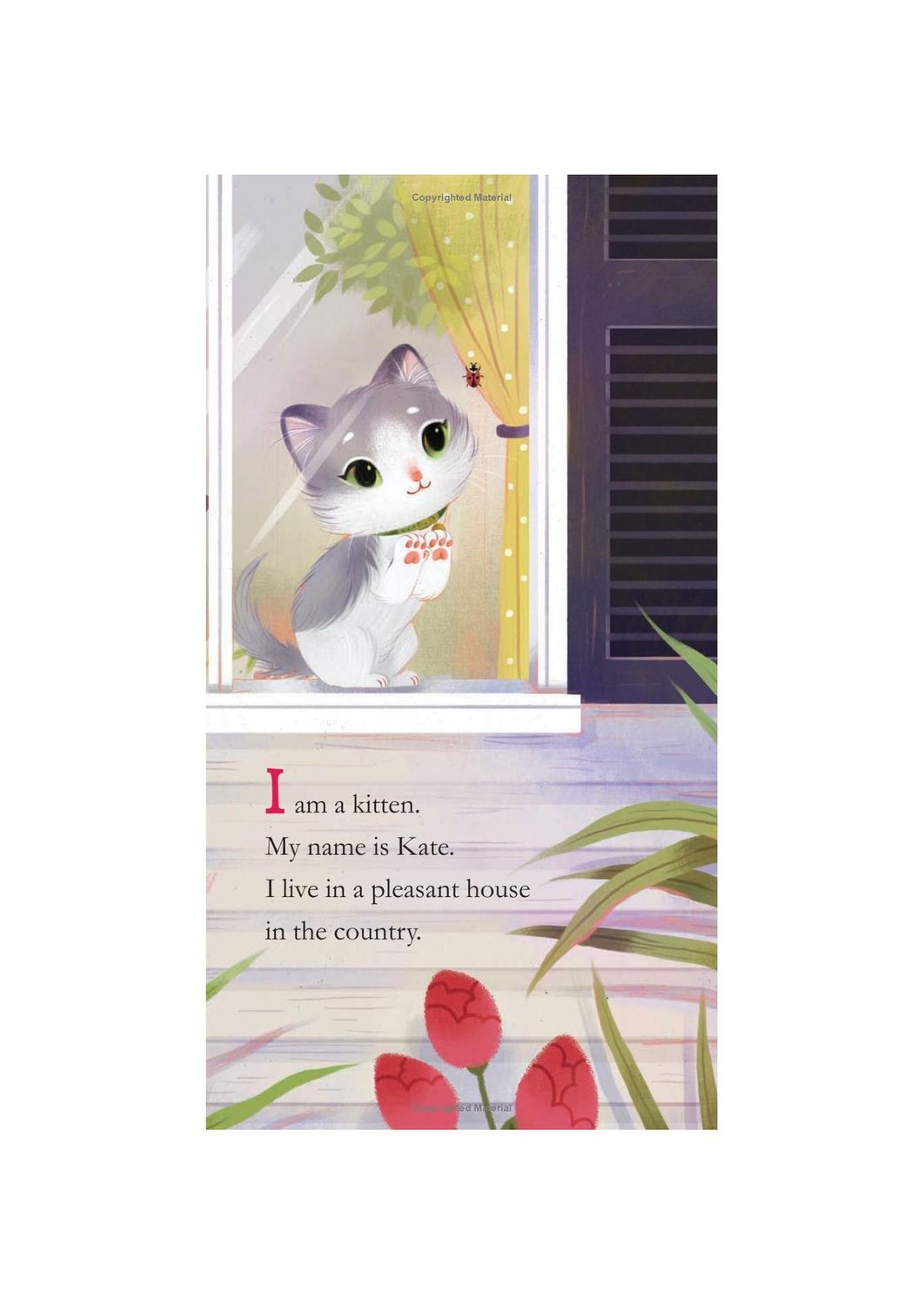I Am A Kitten Board Book