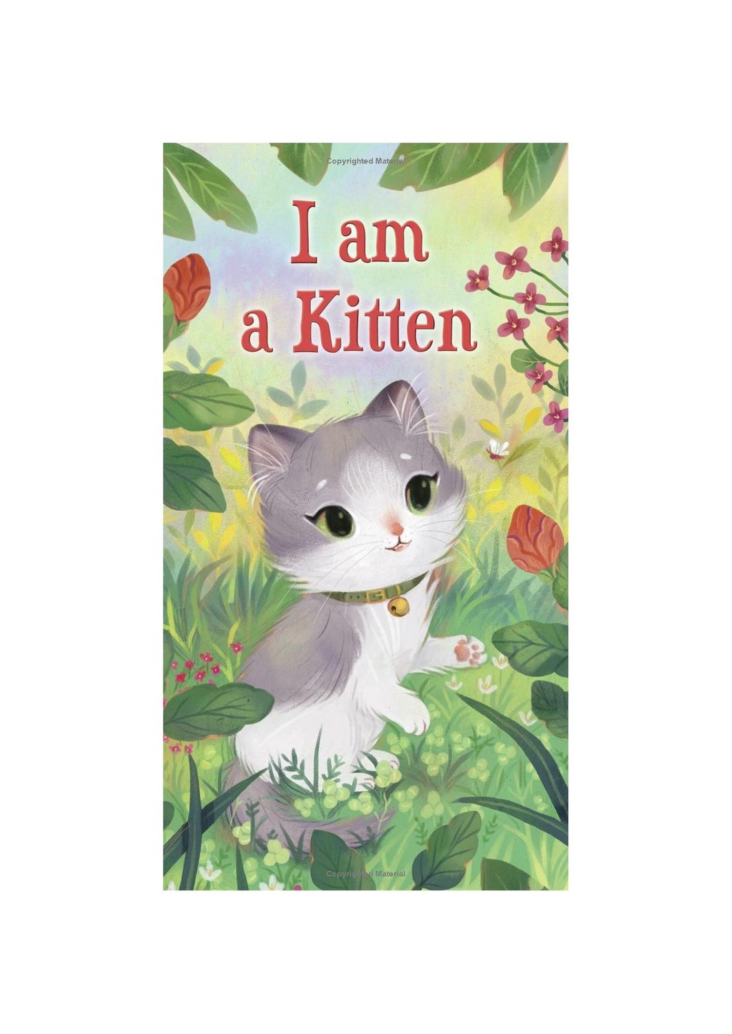 I Am A Kitten Board Book