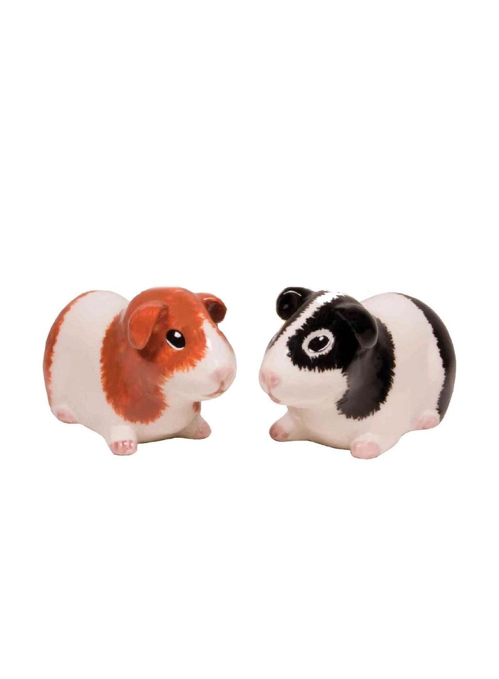 Guinea Pigs Salt And Pepper Shaker Set