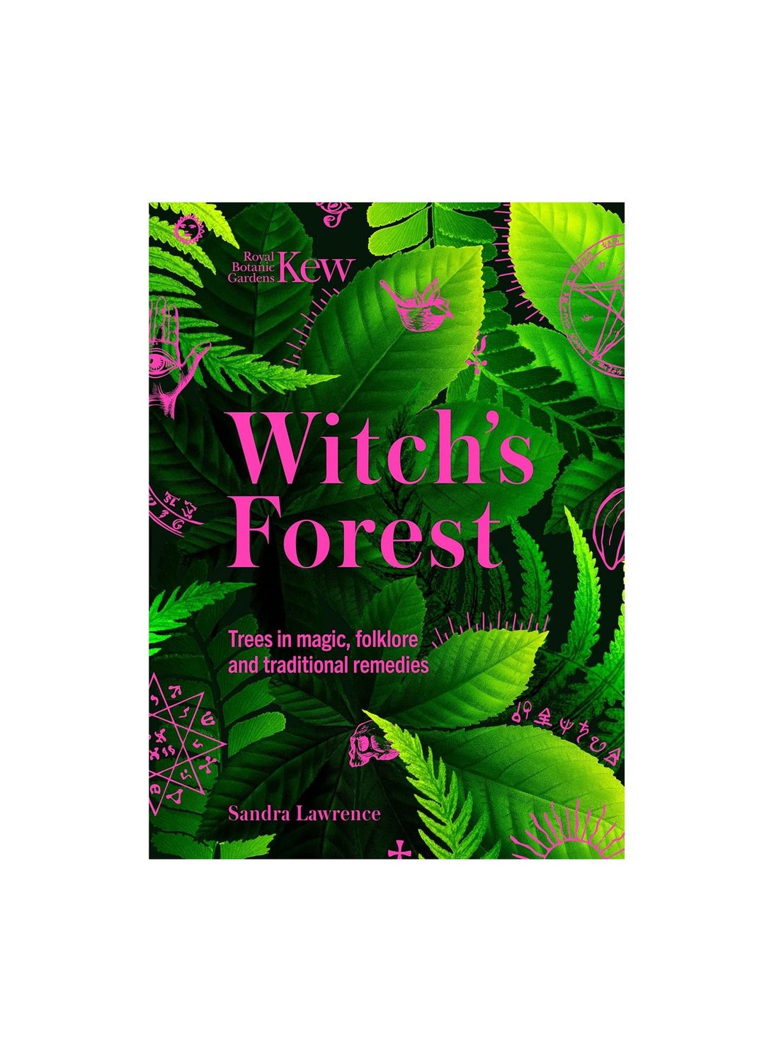Witch’s Forest Hardcover Book