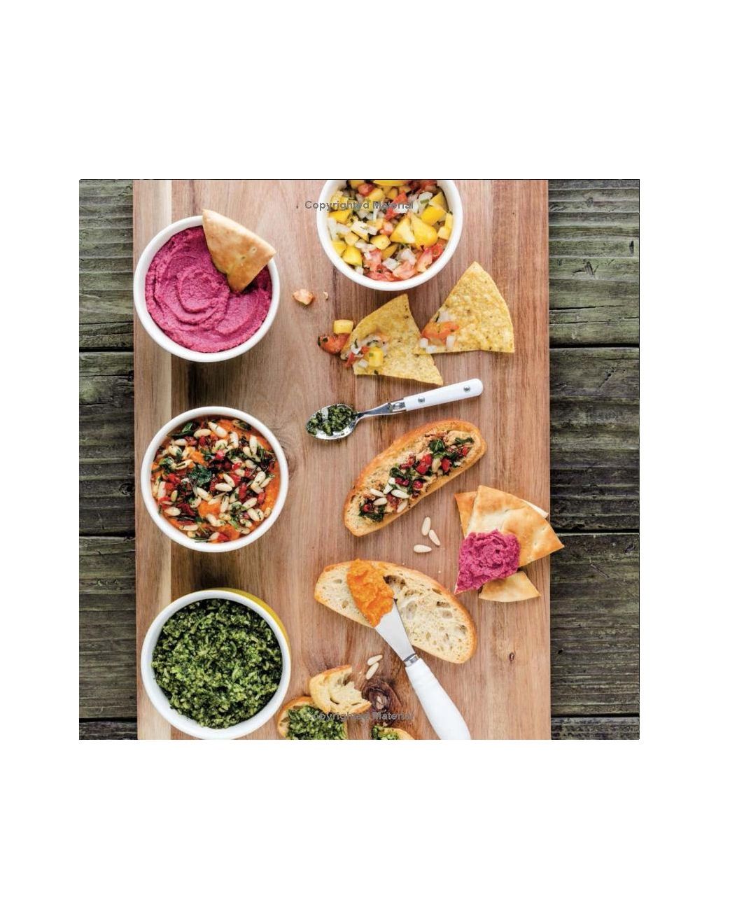 Big Dips Cheese, Salsa, Pesto, Hummus Hardcover Cookbook