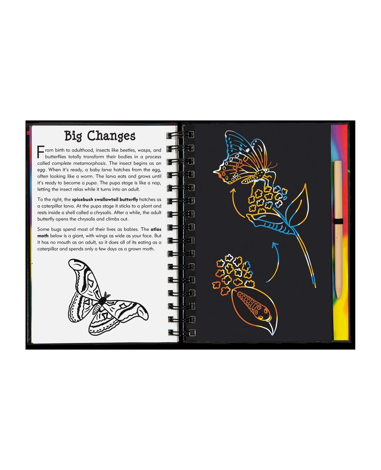 Scratch And Sketch Bugs Hardcover Spiral Book