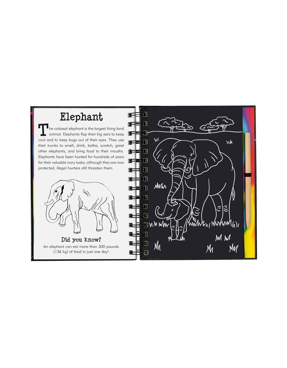 Scratch and Sketch Wild Safari Hardcover Spiral Book