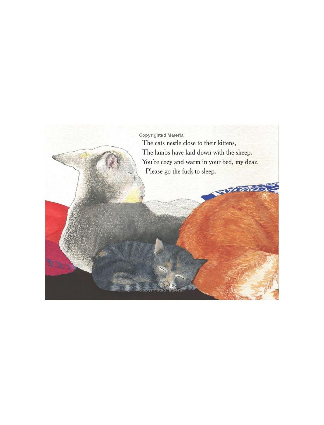 Go The Fuck To Sleep Book