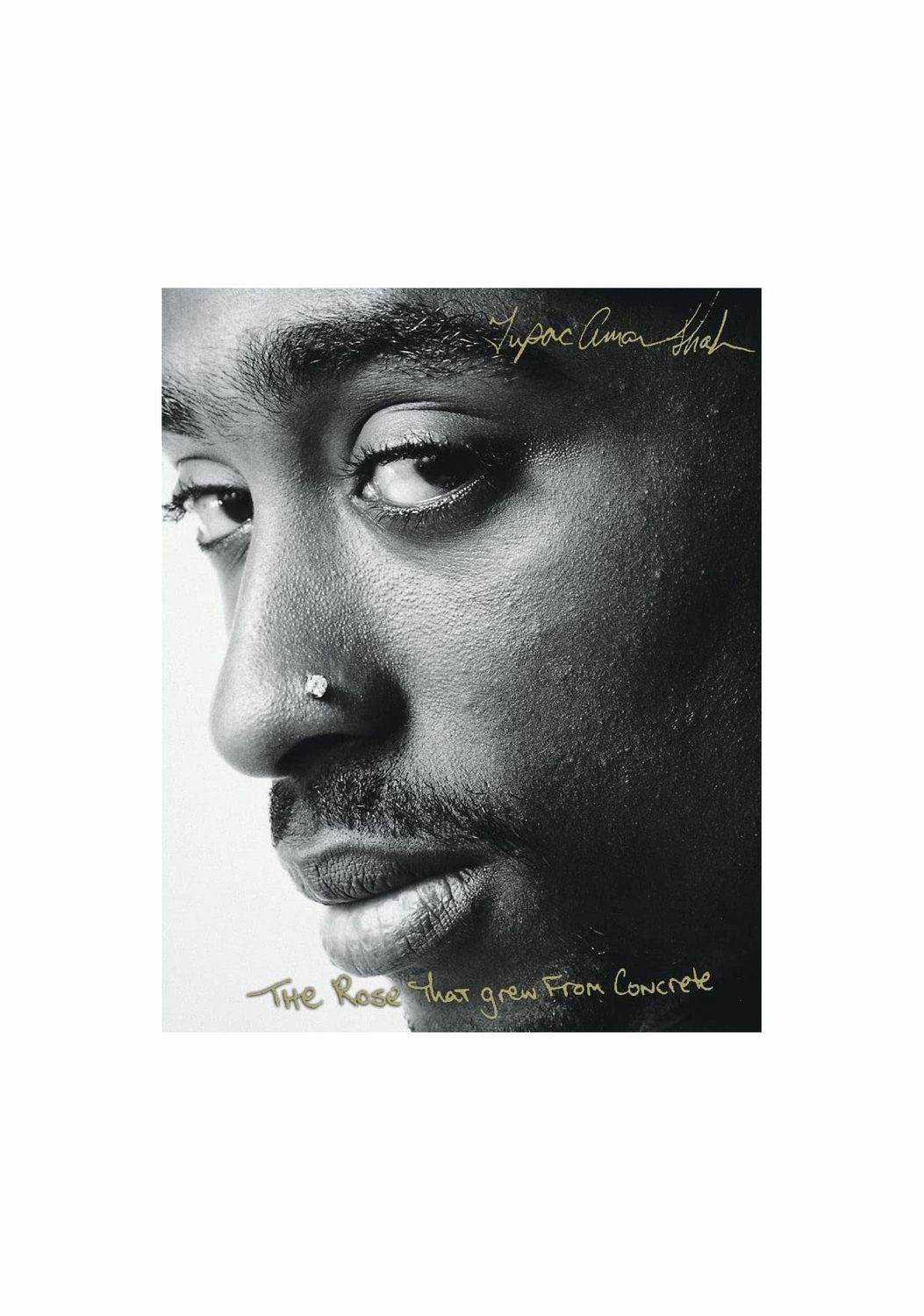 The Rose That Grew From Concrete: Poems From Tupac Shakur Paperback Book