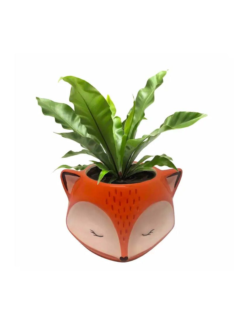 Ceramic Fox Planter