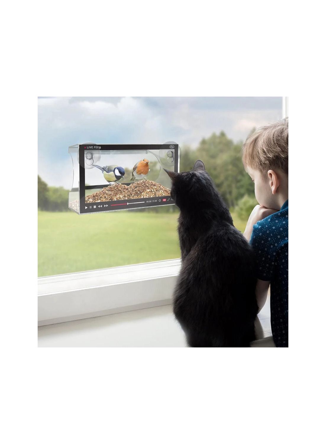 Live Feed Bird Feeder