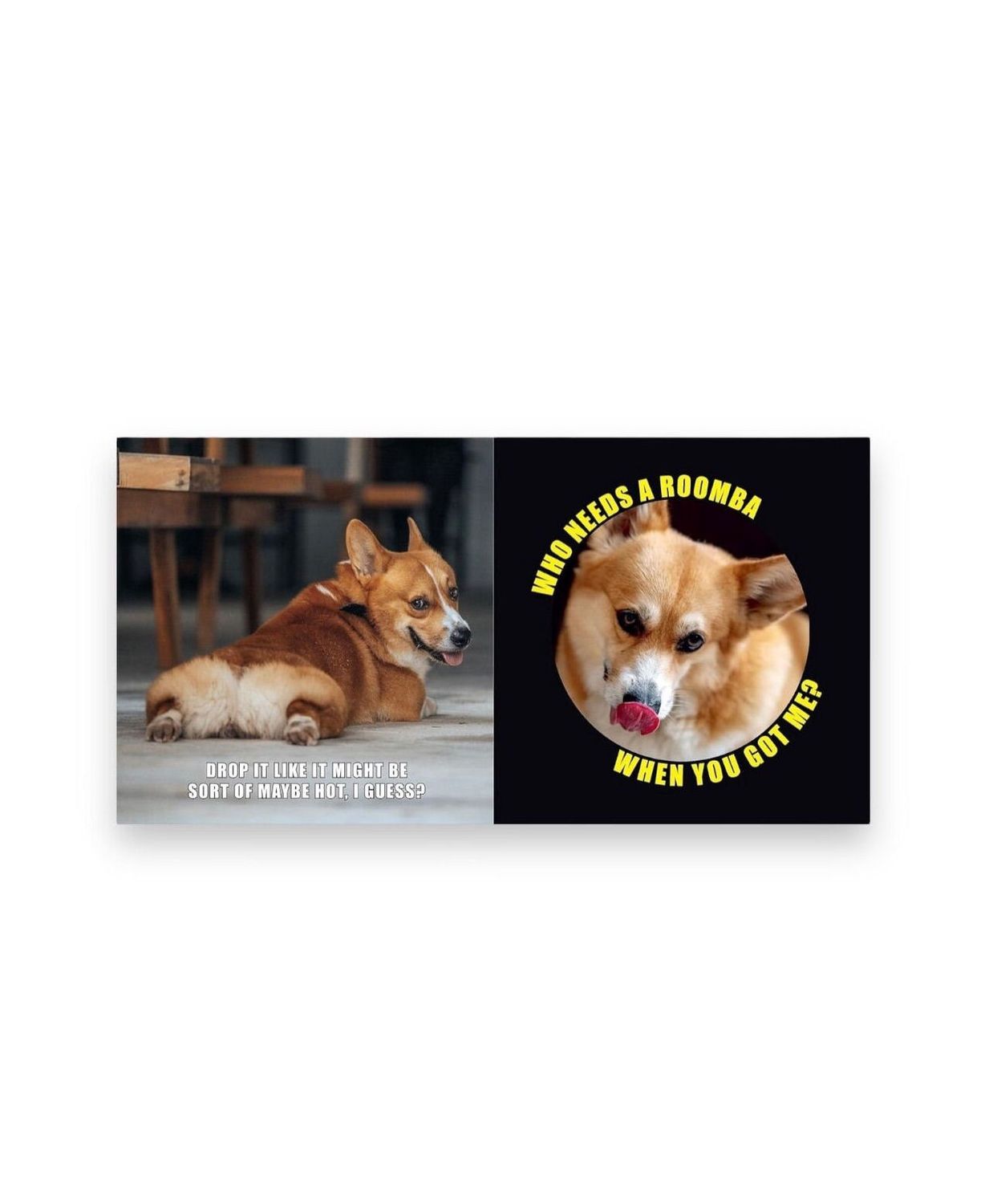 No Thoughts Just Corgis Hardcover Book