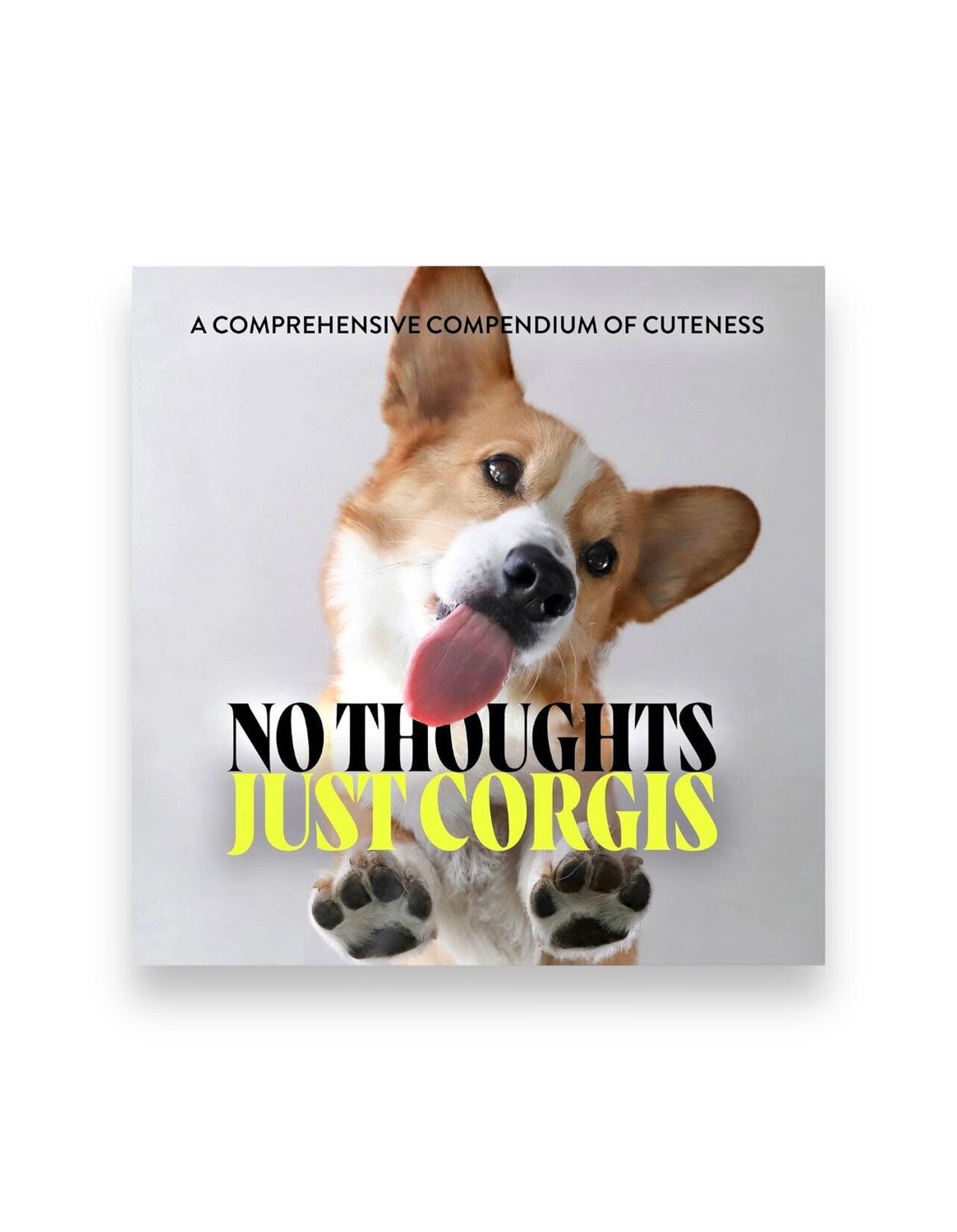 No Thoughts Just Corgis Hardcover Book