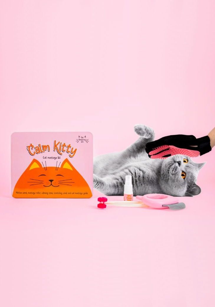 Calm Kitty Cat Massage Kit