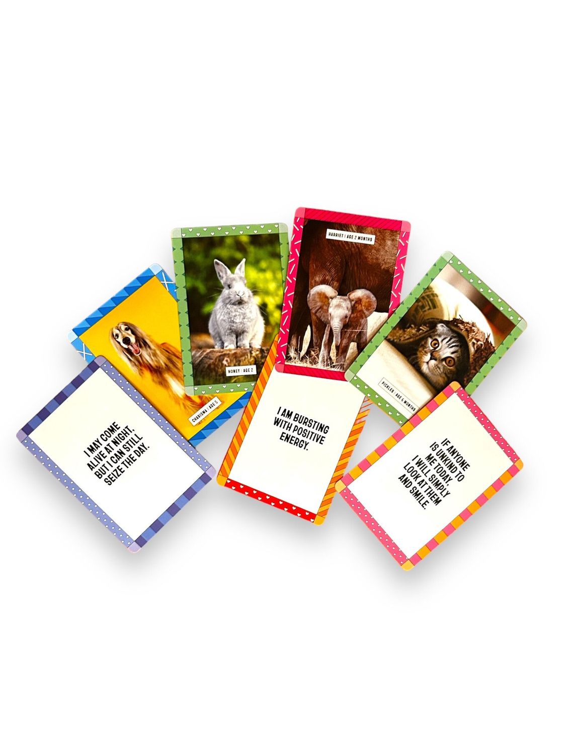 Cute Animal Affirmations Cards