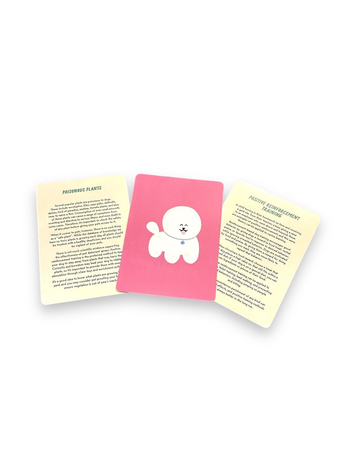 Coaching Cards For New Dog Parents