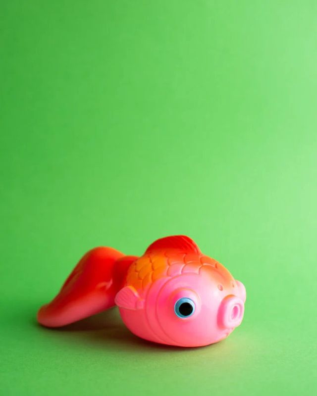 Kodama Sangyo Pink And Red Fish Toy
