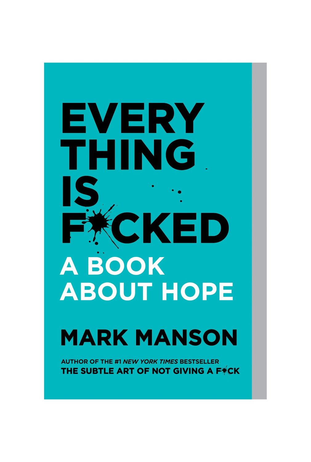 Everything Is Fucked Paperback Book