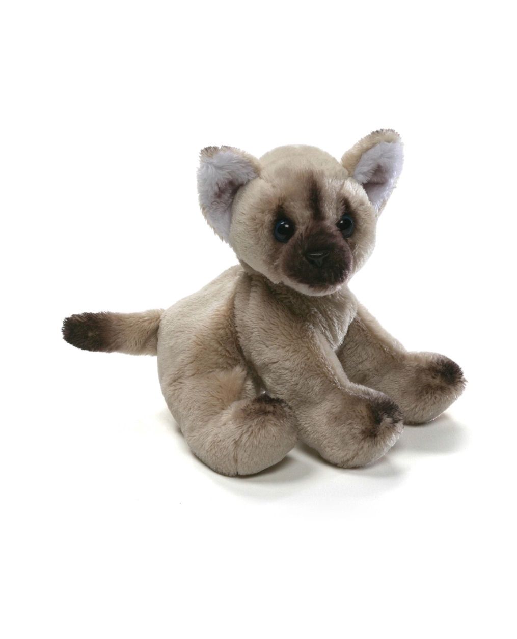 Himalayan Cat Huimin Stuffed Animal