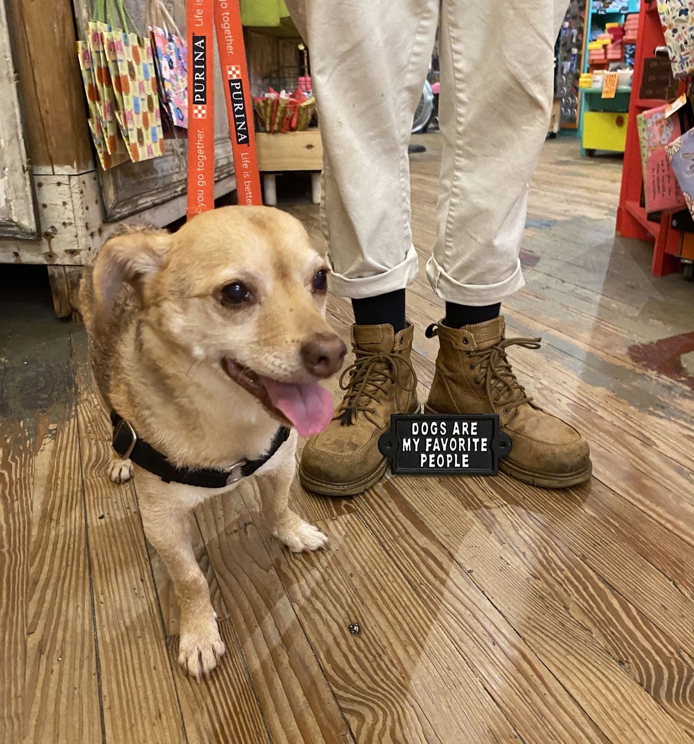 Dogs Are My Favorite People Cast Iron Sign