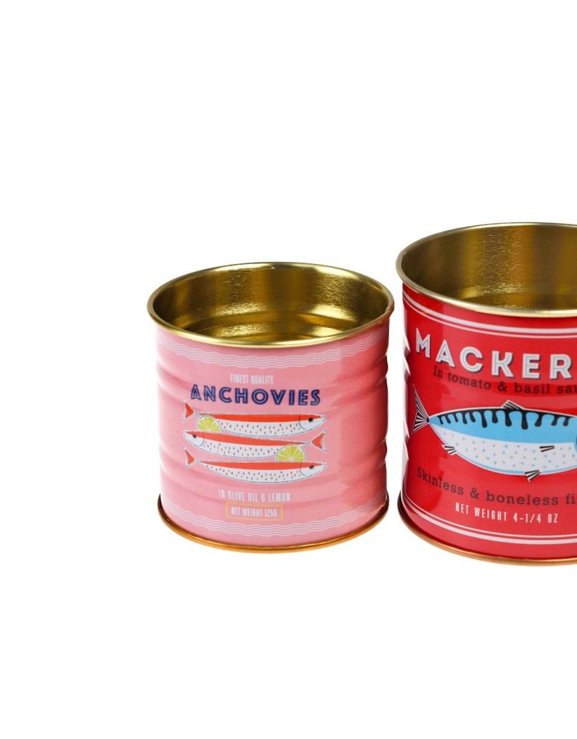 Anchovies Fish Mini Storage Tin