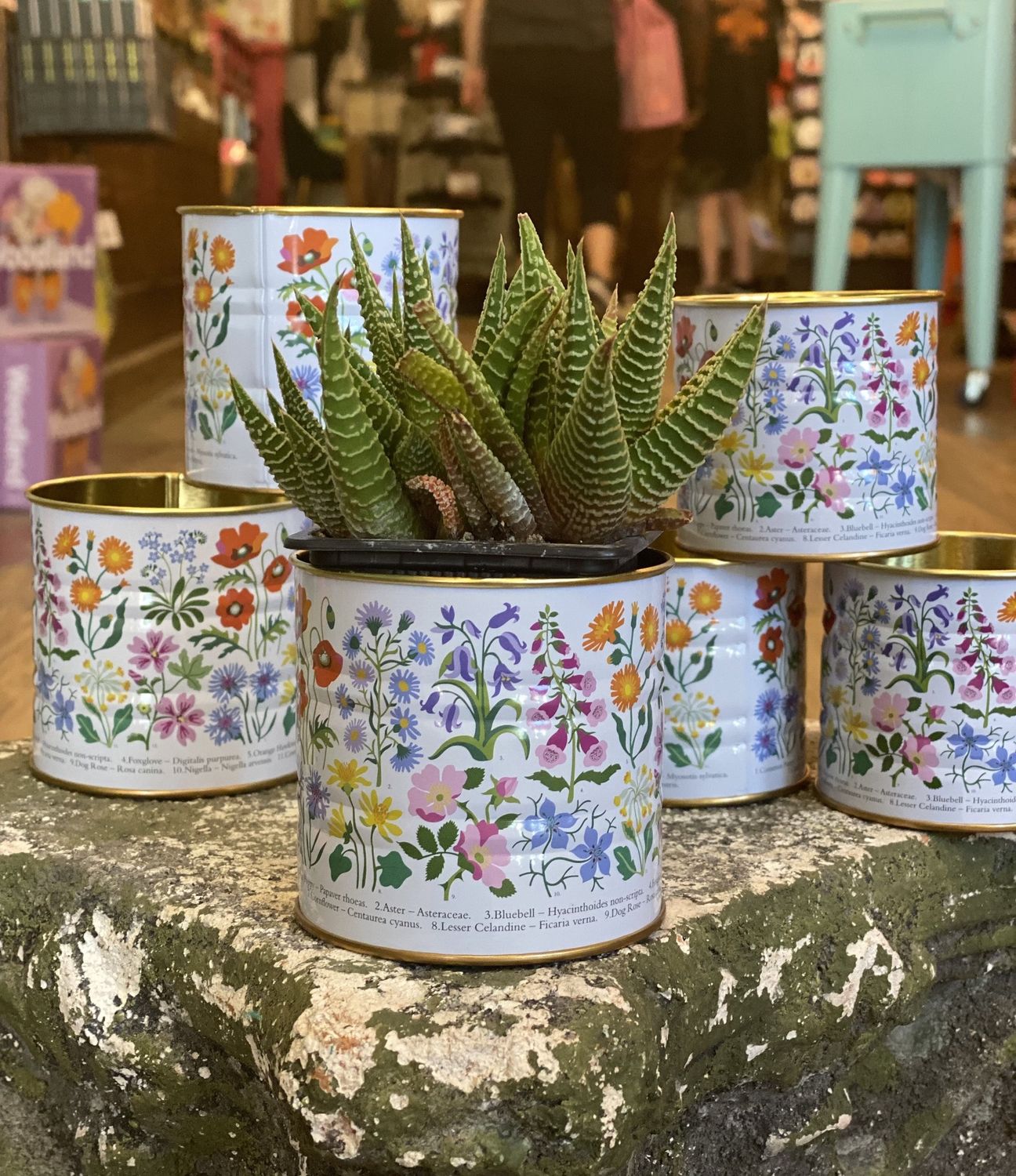 Wildflowers Small Storage Tin