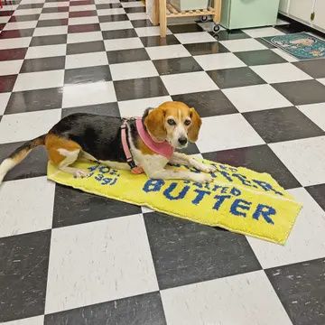 Salted Butter Rug