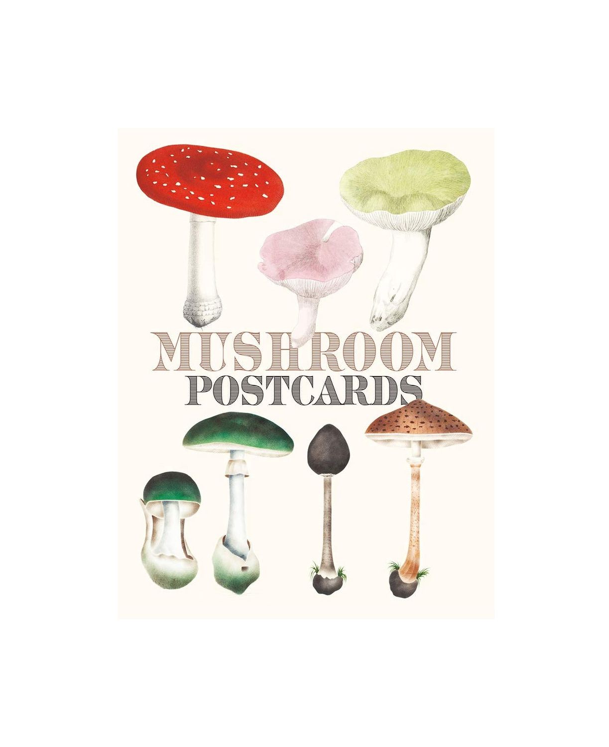 Mushroom Postcards Book