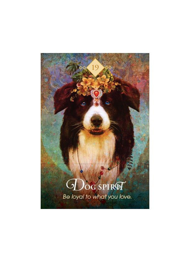Spirit Animal Oracle Card Deck