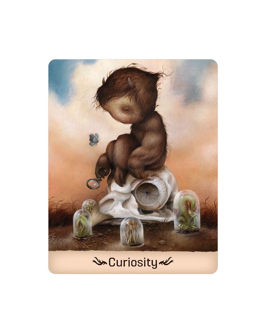 Gentle Creatures Wisdom Deck Cards