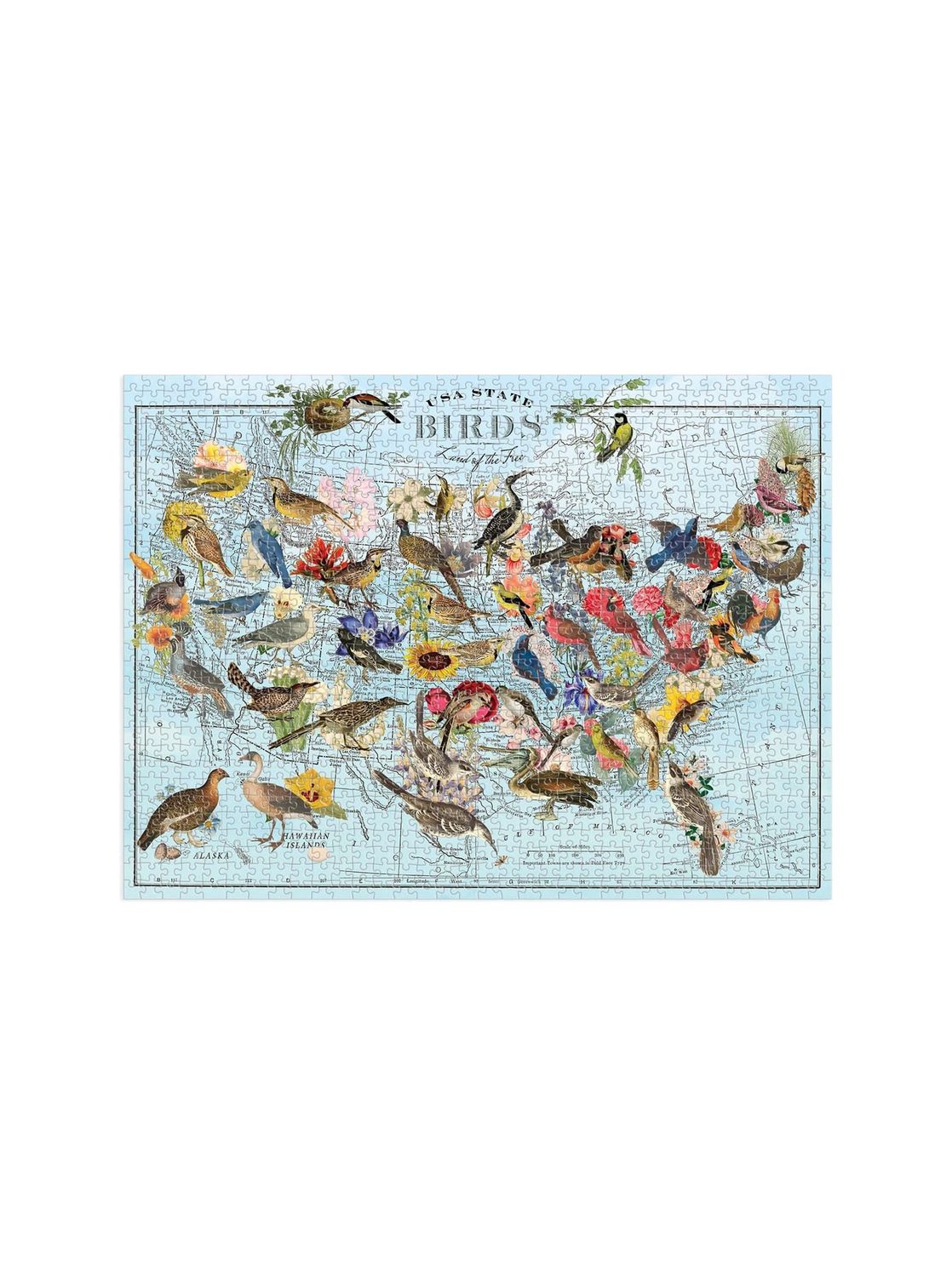 USA State Birds 1000 Piece Puzzle