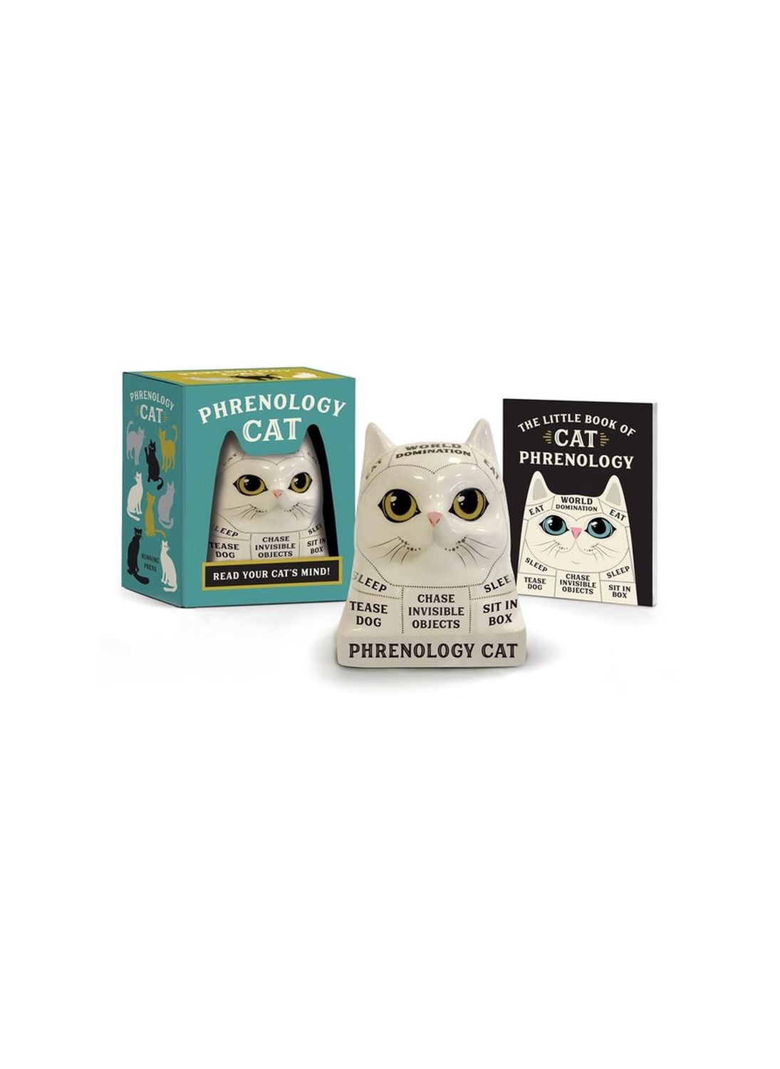 Phrenology Cat