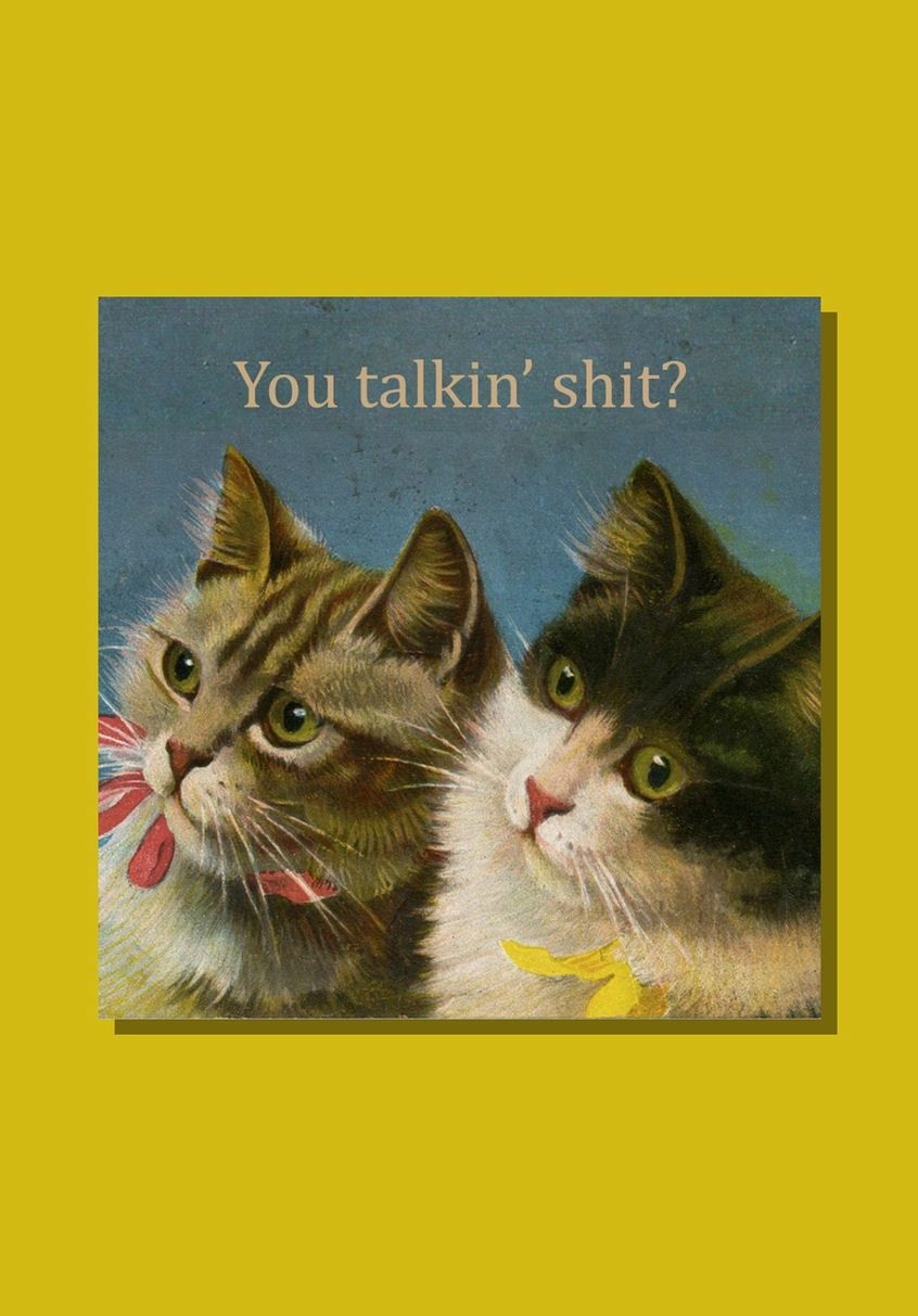 You Talkin Shit Kitties Sticker