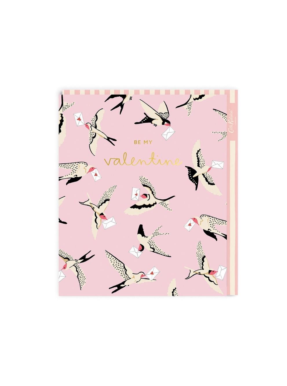 Be My Valentine Pink Bird Card