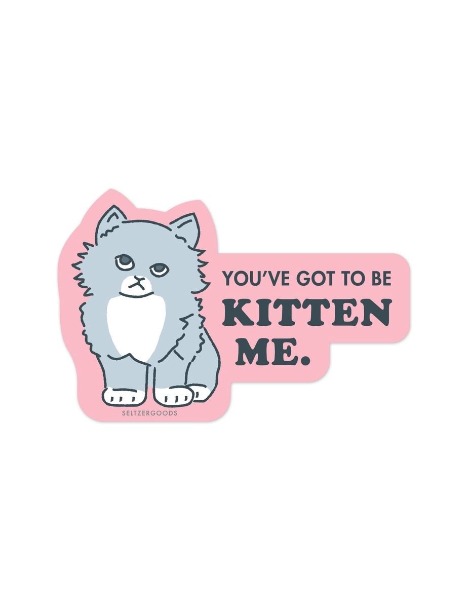 You&#39;ve Got To Be Kitten Me Sticker