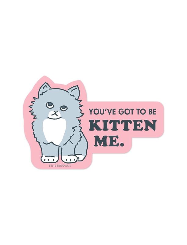 You&#39;ve Got To Be Kitten Me Sticker