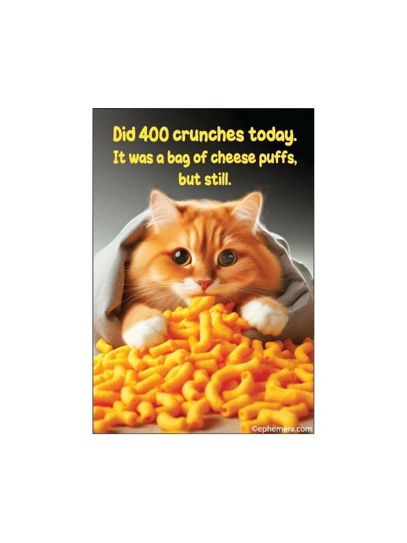 Did 400 Crunches Today Magnet