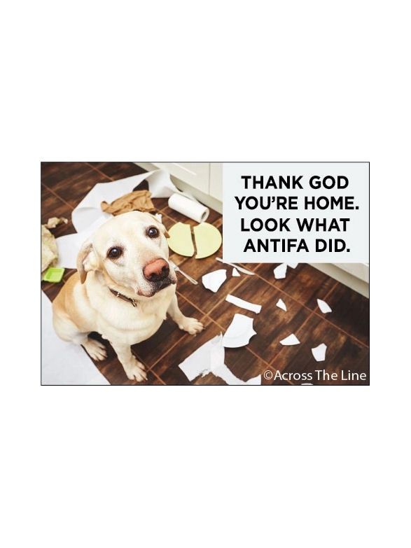 Thank God You’re Home Look What Antifa Did Magnet