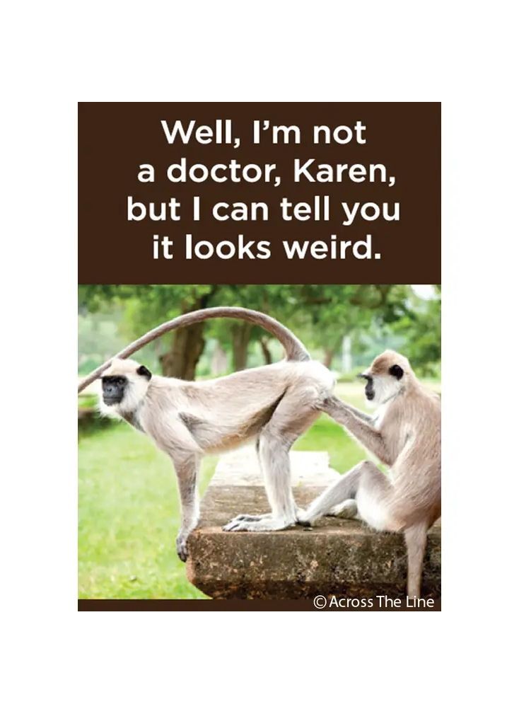 Well, I’m Not A Doctor, Karen, But I Can Tell You It Looks Weird Magnet