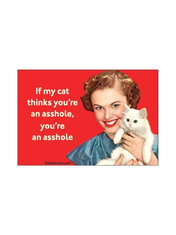 If My Cat Thinks You’re An Asshole, You're An Asshole Magnet