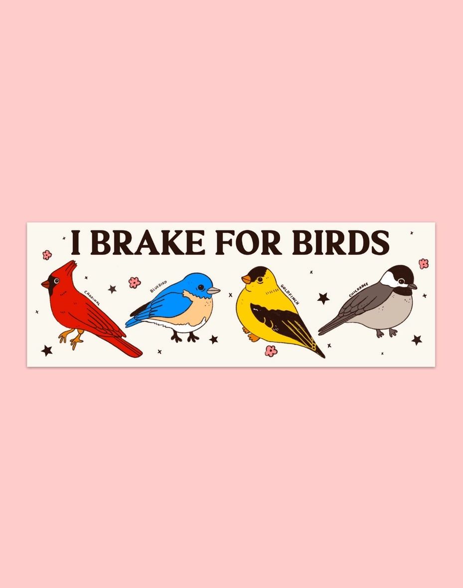 I Break For Birds Bumper Magnet