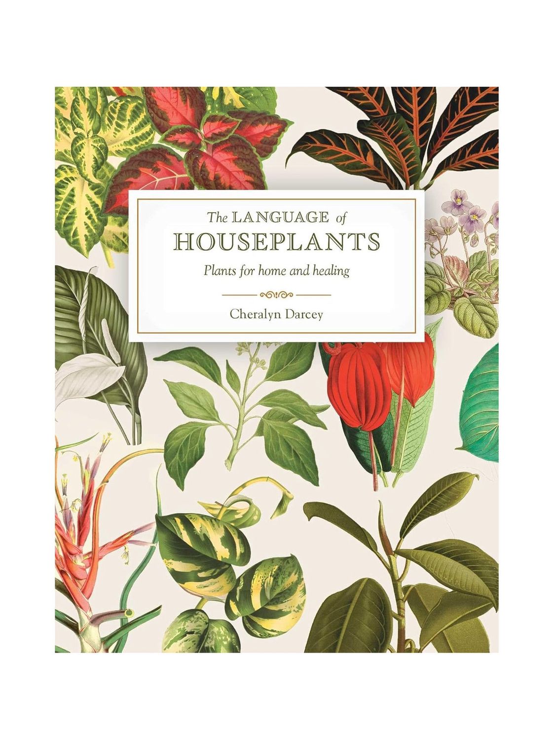 The Language Of Houseplants Paperback Book