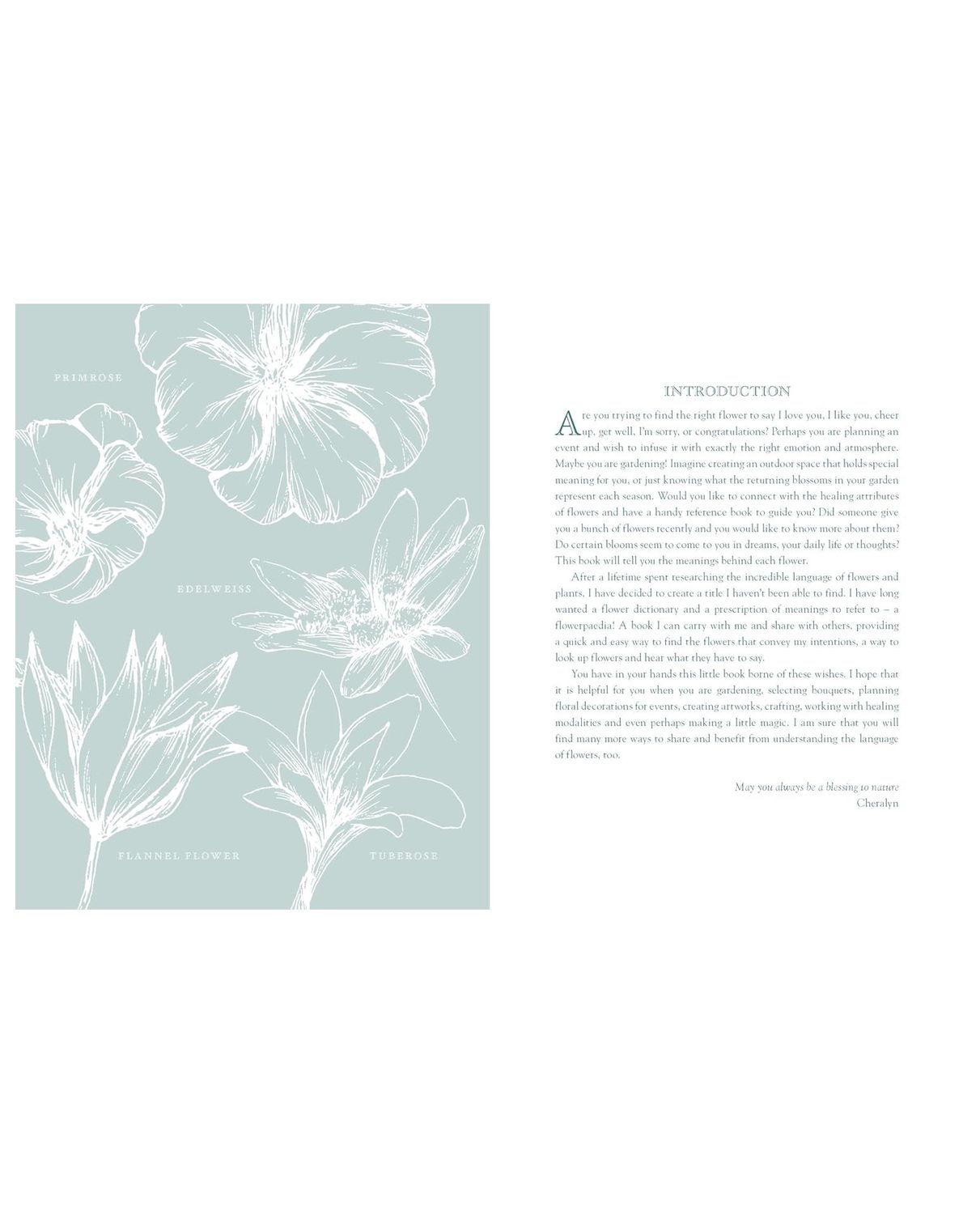 Flowerpaedia Paperback Book