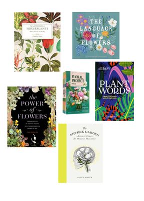 Gardening, Plants, And Outdoors