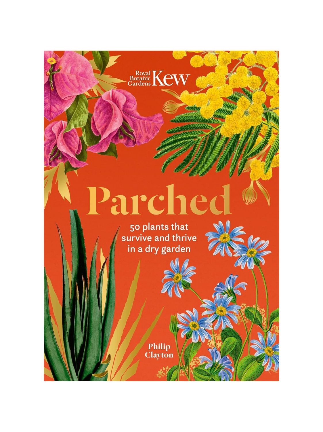 Parched Plants Hardcover Book
