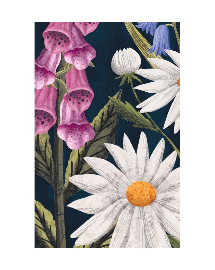 The Hidden Histories Of Flowers Hardcover Book