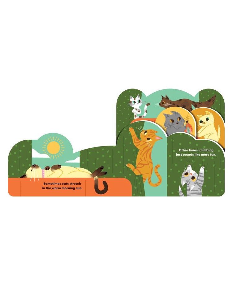 Some Cats Kids Board Book