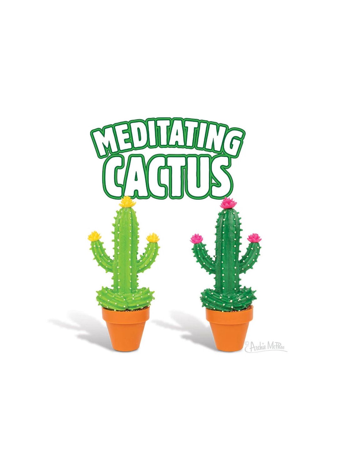 Meditating Cactus In A Pot