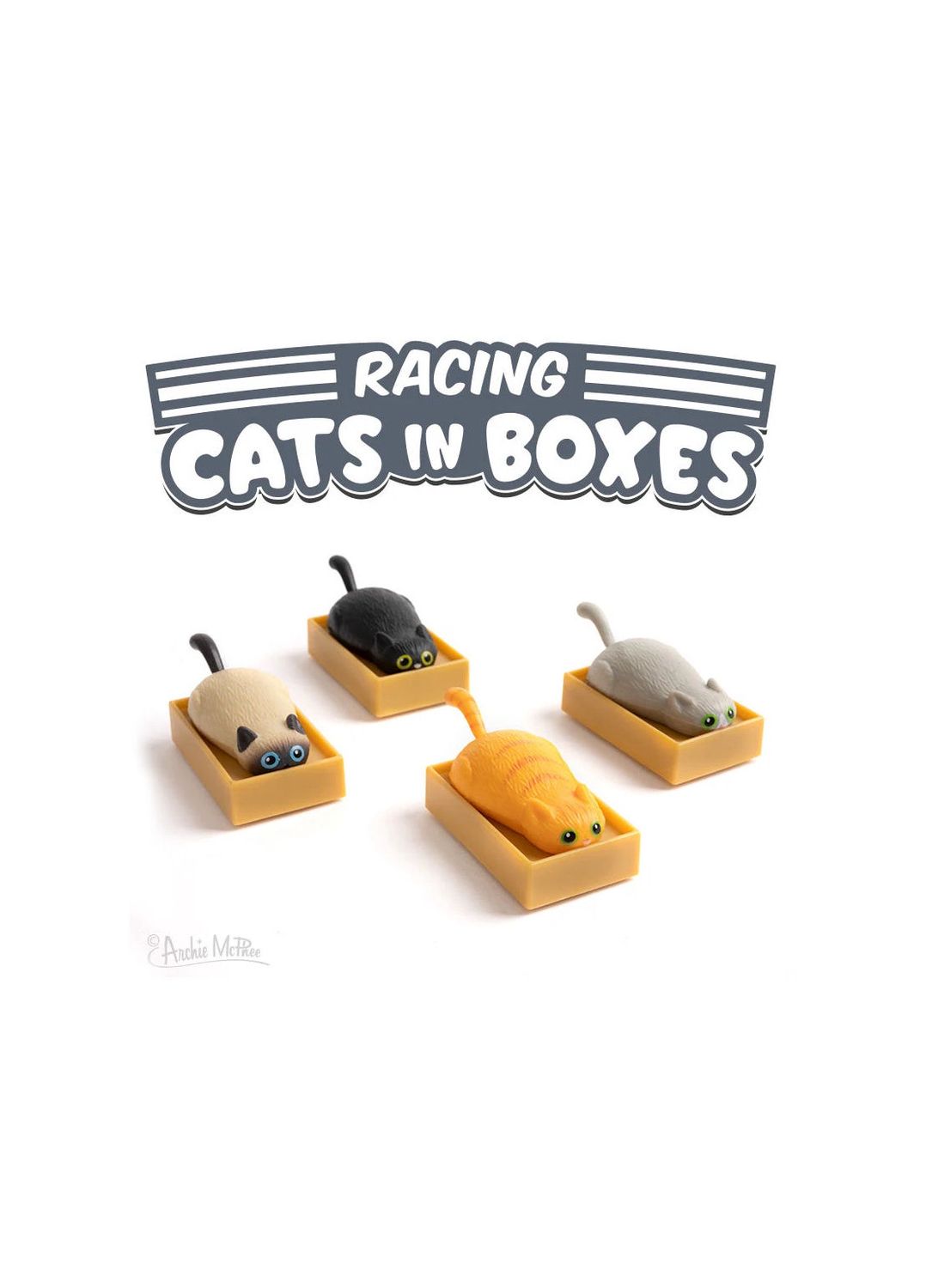 Racing Cat In Box