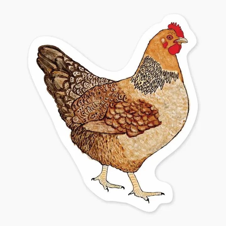 Chicken Hen Sticker