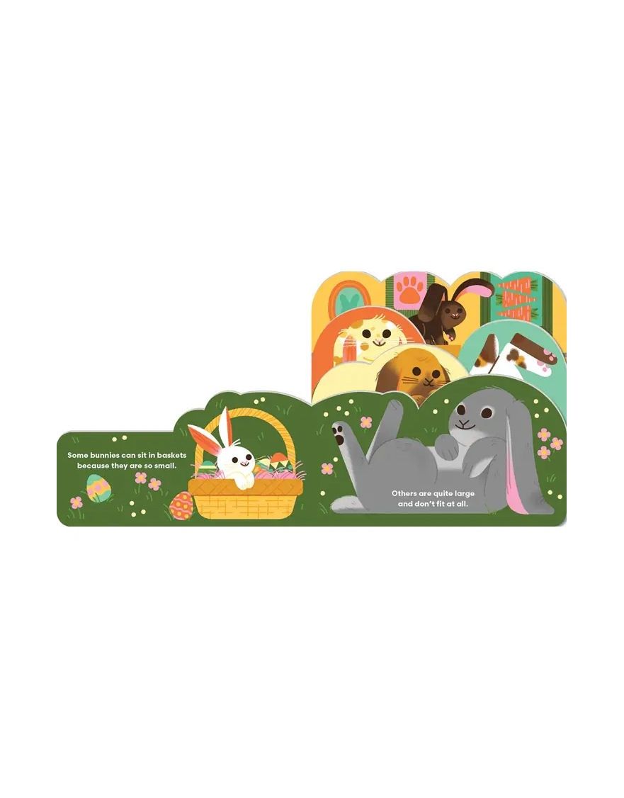 Some Bunnies Board Book